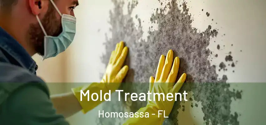 Mold Treatment Homosassa - FL