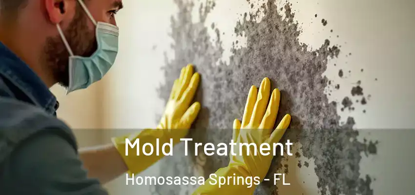 Mold Treatment Homosassa Springs - FL