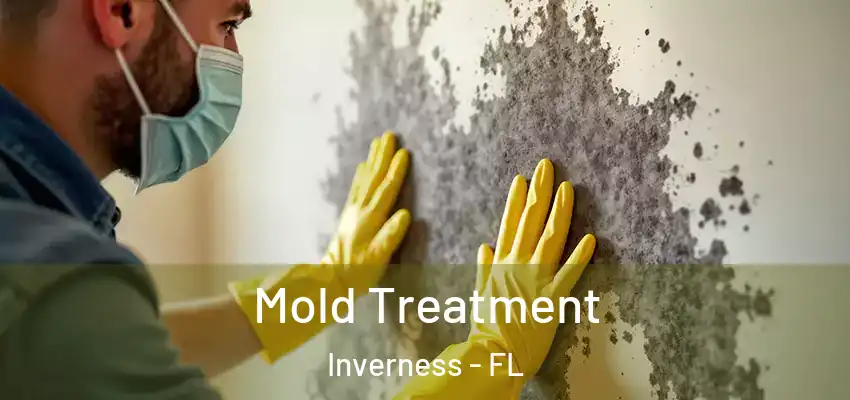 Mold Treatment Inverness - FL