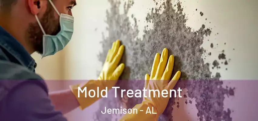 Mold Treatment Jemison - AL