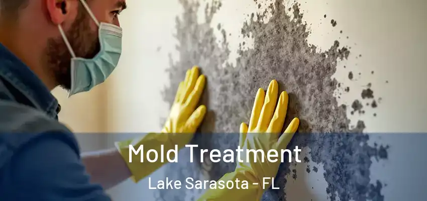  Mold Treatment Lake Sarasota - FL