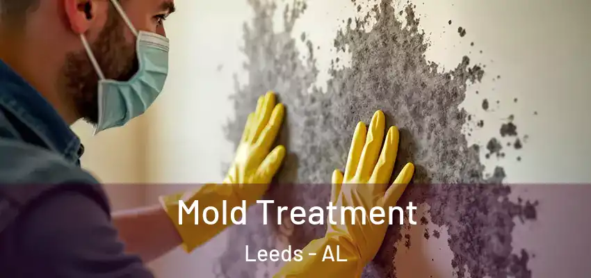 Mold Treatment Leeds - AL