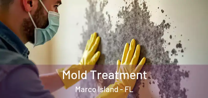 Mold Treatment Marco Island - FL