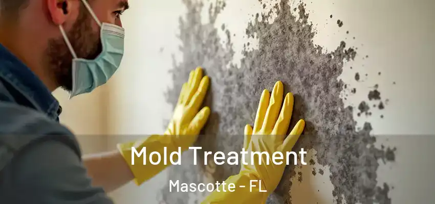 Mold Treatment Mascotte - FL