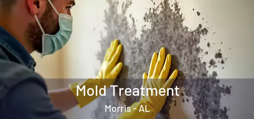 Mold Treatment Morris - AL