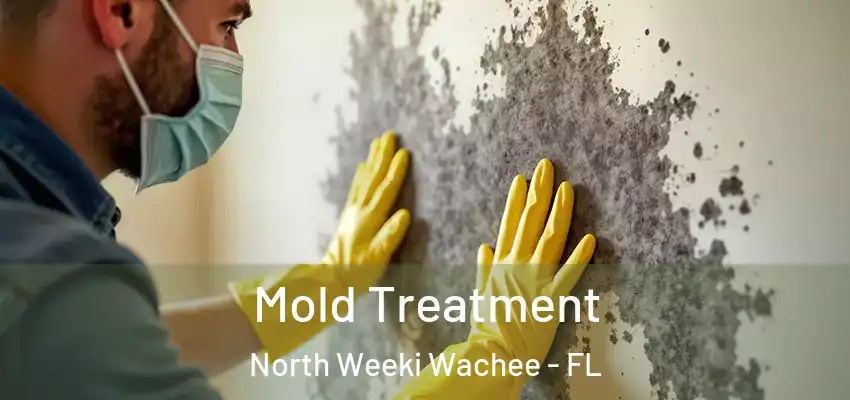  Mold Treatment North Weeki Wachee - FL