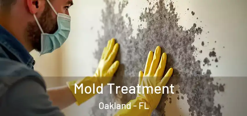 Mold Treatment Oakland - FL