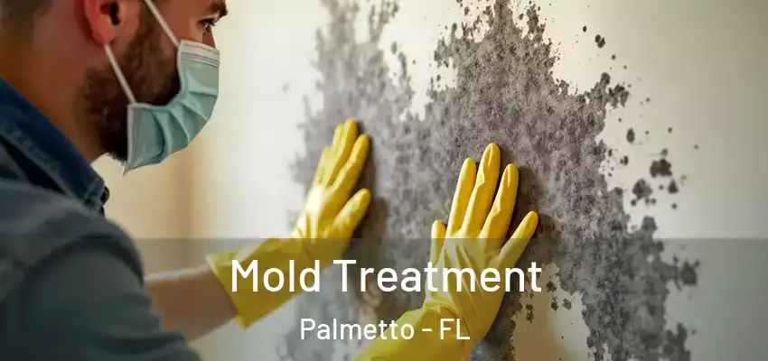 Mold Treatment Palmetto - FL