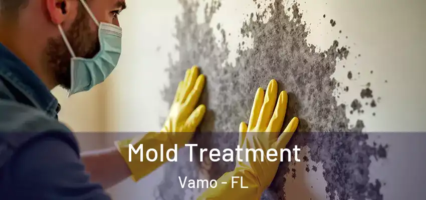 Mold Treatment Vamo - FL