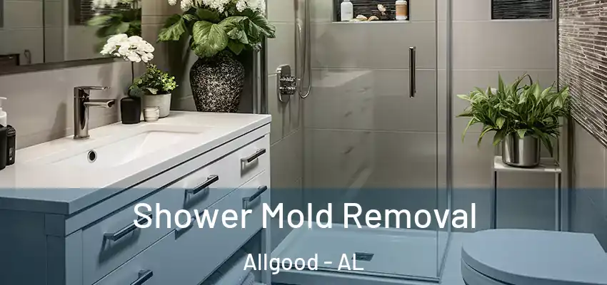  Shower Mold Removal Allgood - AL