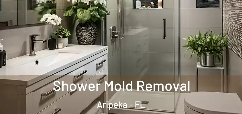 Shower Mold Removal Aripeka - FL