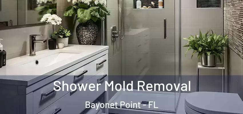 Shower Mold Removal Bayonet Point - FL