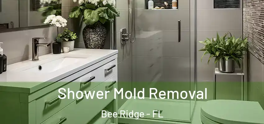  Shower Mold Removal Bee Ridge - FL