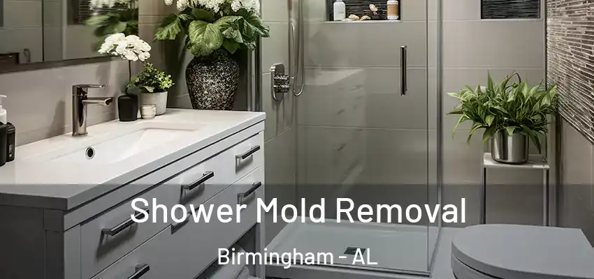 Shower Mold Removal Birmingham - AL