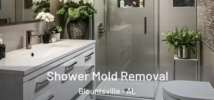  Shower Mold Removal Blountsville - AL