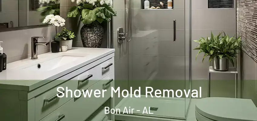  Shower Mold Removal Bon Air - AL