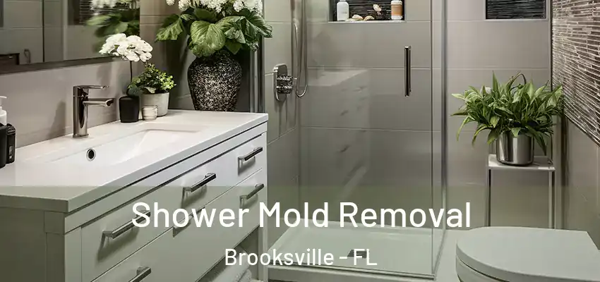  Shower Mold Removal Brooksville - FL