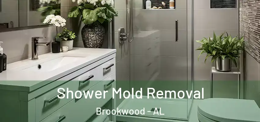 Shower Mold Removal Brookwood - AL