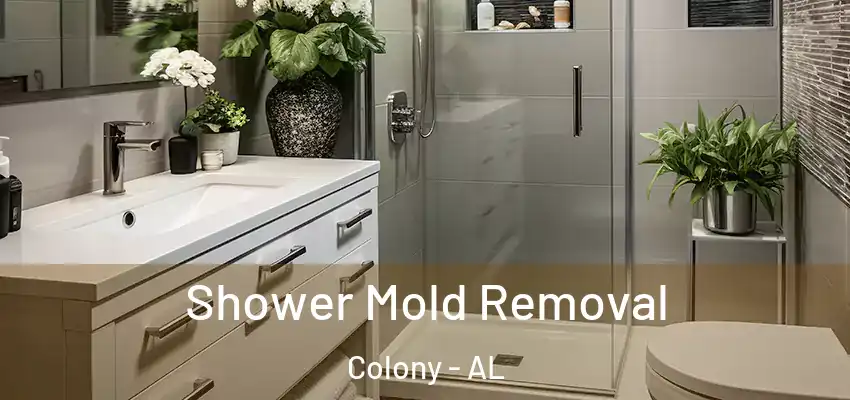 Shower Mold Removal Colony - AL