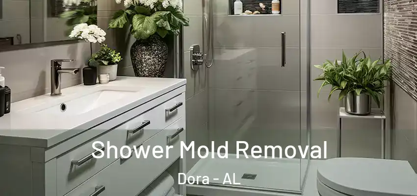 Shower Mold Removal Dora - AL