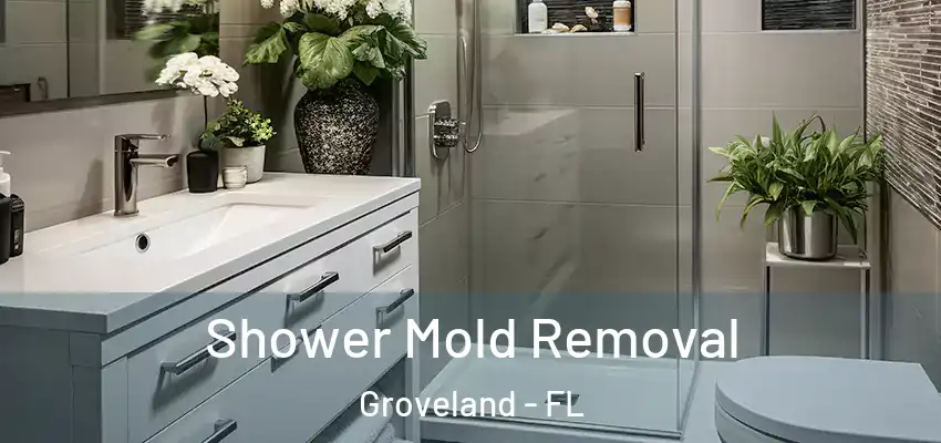 Shower Mold Removal Groveland - FL