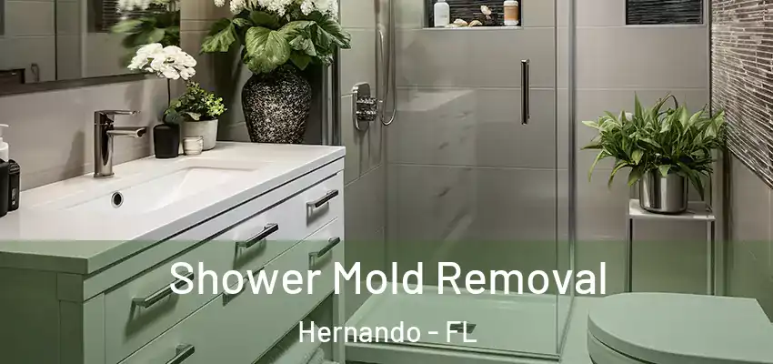 Shower Mold Removal Hernando - FL
