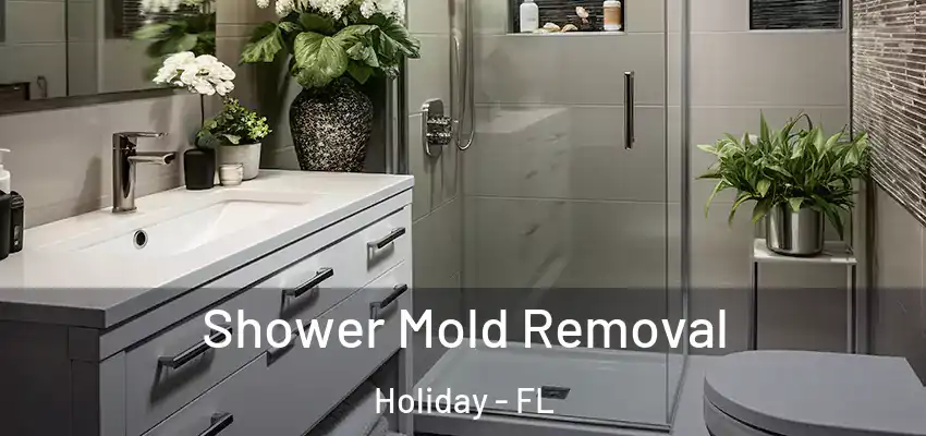Shower Mold Removal Holiday - FL