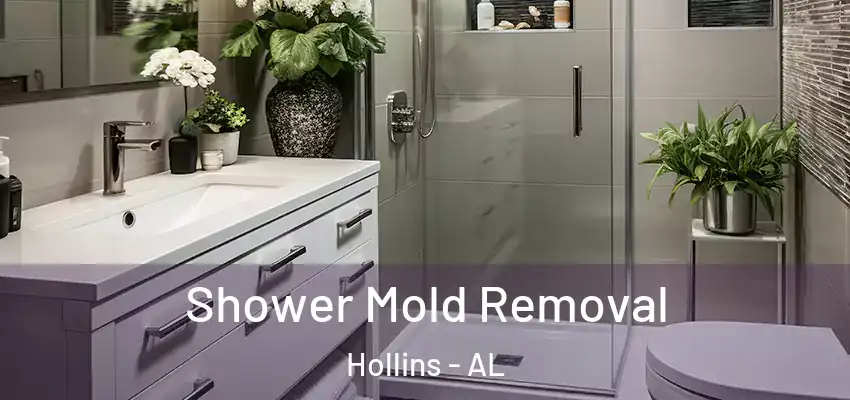  Shower Mold Removal Hollins - AL