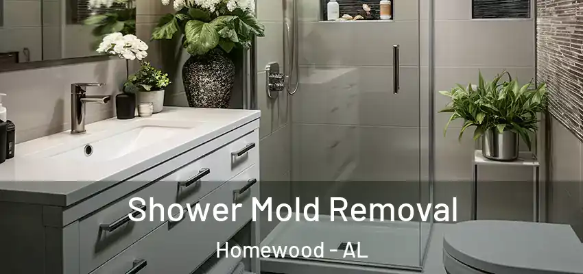  Shower Mold Removal Homewood - AL