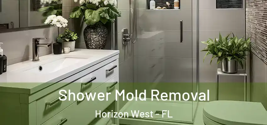 Shower Mold Removal Horizon West - FL
