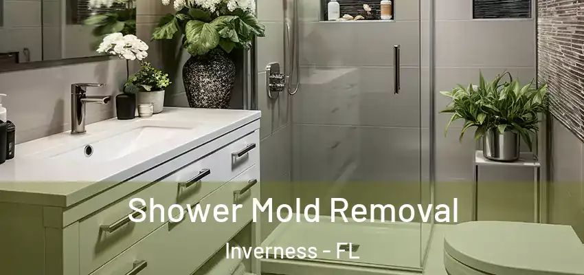 Shower Mold Removal Inverness - FL