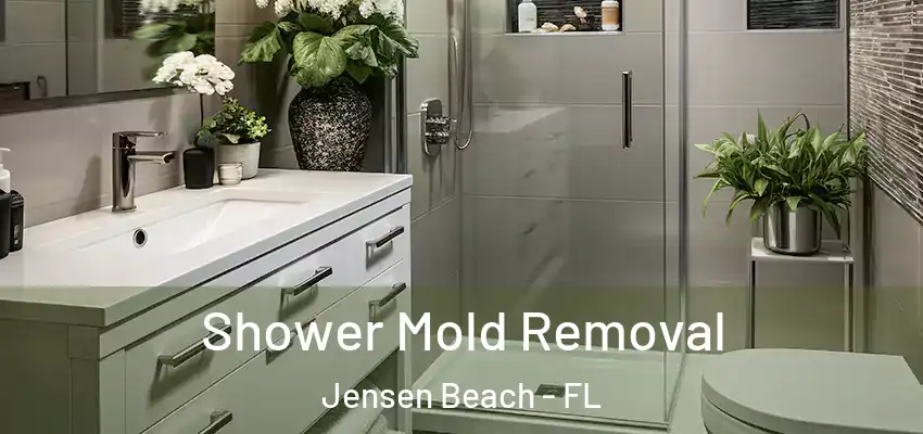 Shower Mold Removal Jensen Beach - FL