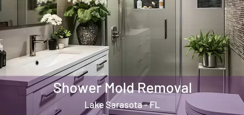 Shower Mold Removal Lake Sarasota - FL