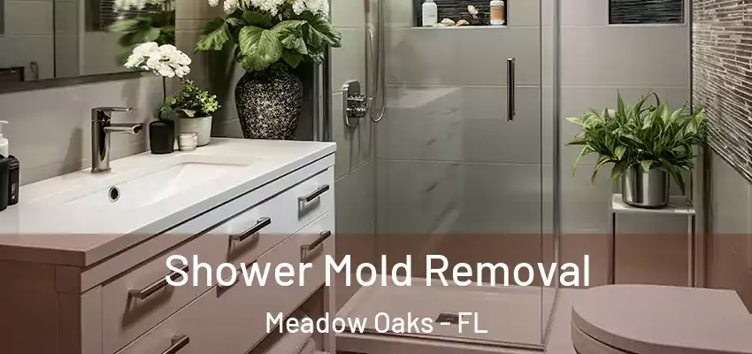 Shower Mold Removal Meadow Oaks - FL