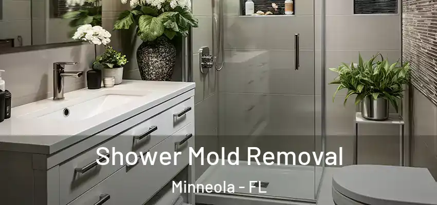  Shower Mold Removal Minneola - FL