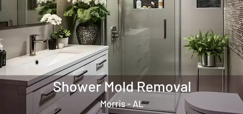 Shower Mold Removal Morris - AL