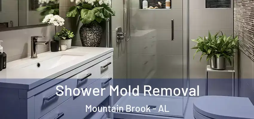 Shower Mold Removal Mountain Brook - AL