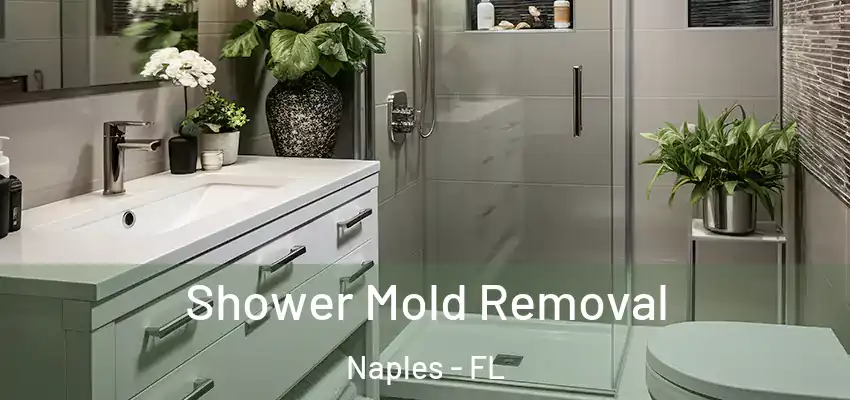 Shower Mold Removal Naples - FL