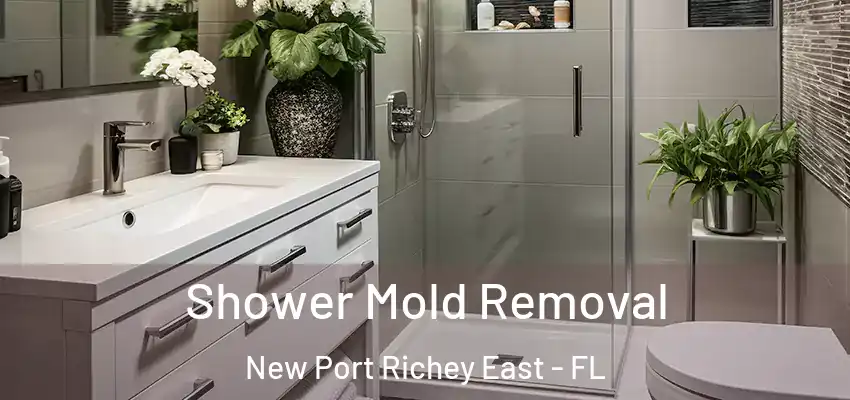 Shower Mold Removal New Port Richey East - FL