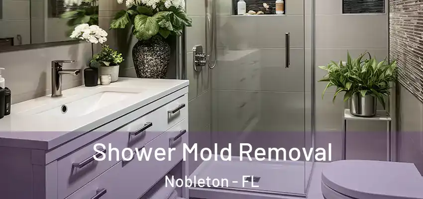 Shower Mold Removal Nobleton - FL