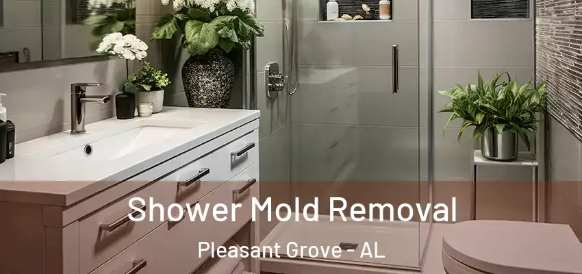 Shower Mold Removal Pleasant Grove - AL