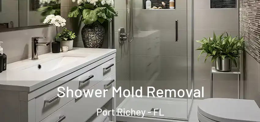 Shower Mold Removal Port Richey - FL