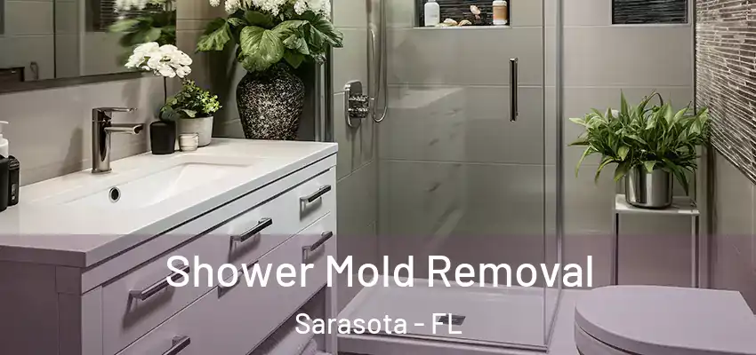  Shower Mold Removal Sarasota - FL