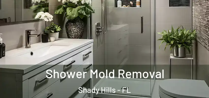 Shower Mold Removal Shady Hills - FL