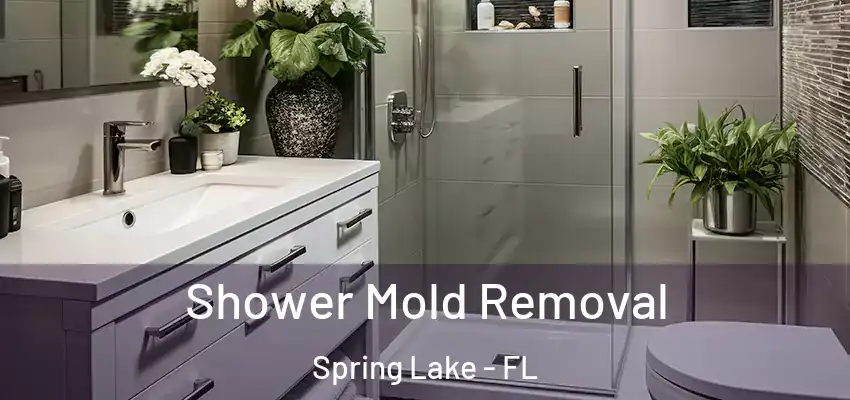  Shower Mold Removal Spring Lake - FL