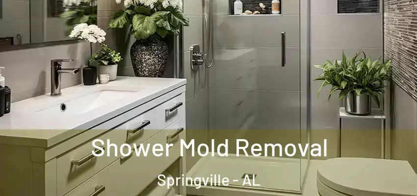 Shower Mold Removal Springville - AL