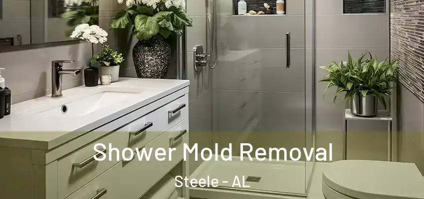 Shower Mold Removal Steele - AL