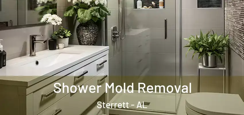 Shower Mold Removal Sterrett - AL