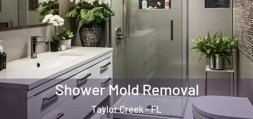  Shower Mold Removal Taylor Creek - FL