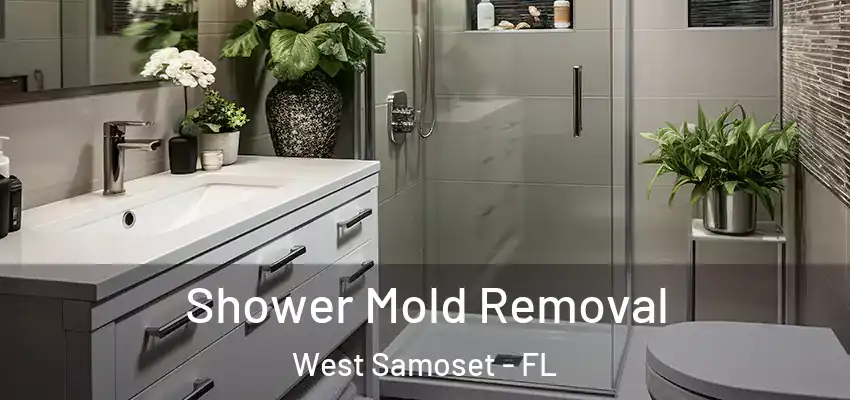  Shower Mold Removal West Samoset - FL